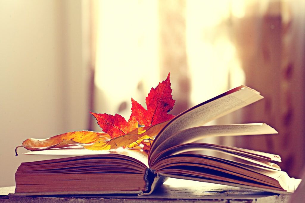 Leading Education Consultant Responds to the News of Autumn Exams, Suggesting Private Tuition Could Help Students Prepare
